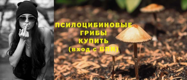 ECSTASY Кинешма