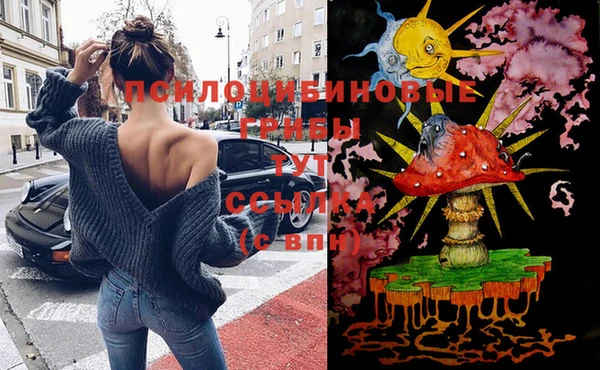 дмт Киреевск