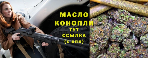 дмт Киреевск