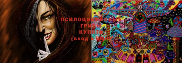 ECSTASY Кинешма