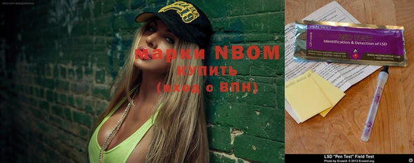дмт Киреевск