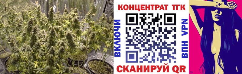 Дистиллят ТГК гашишное масло  hydra ONION  Пушкино 