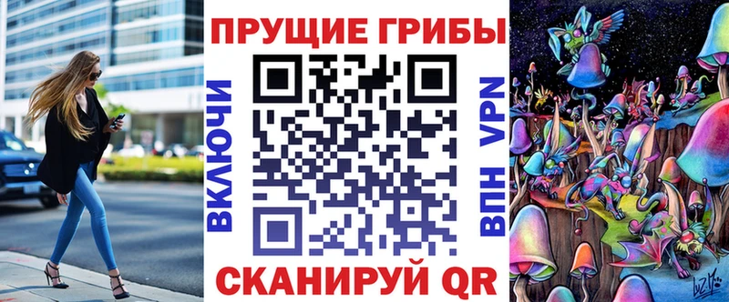 где купить   мега как зайти  Галлюциногенные грибы Cubensis  Пушкино 